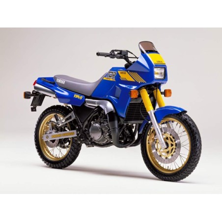 Yamaha TDR 250